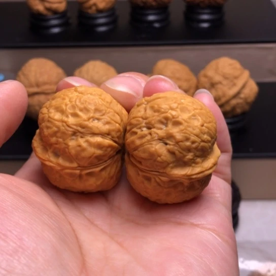 文玩核桃把件龟甲元宝蟾10