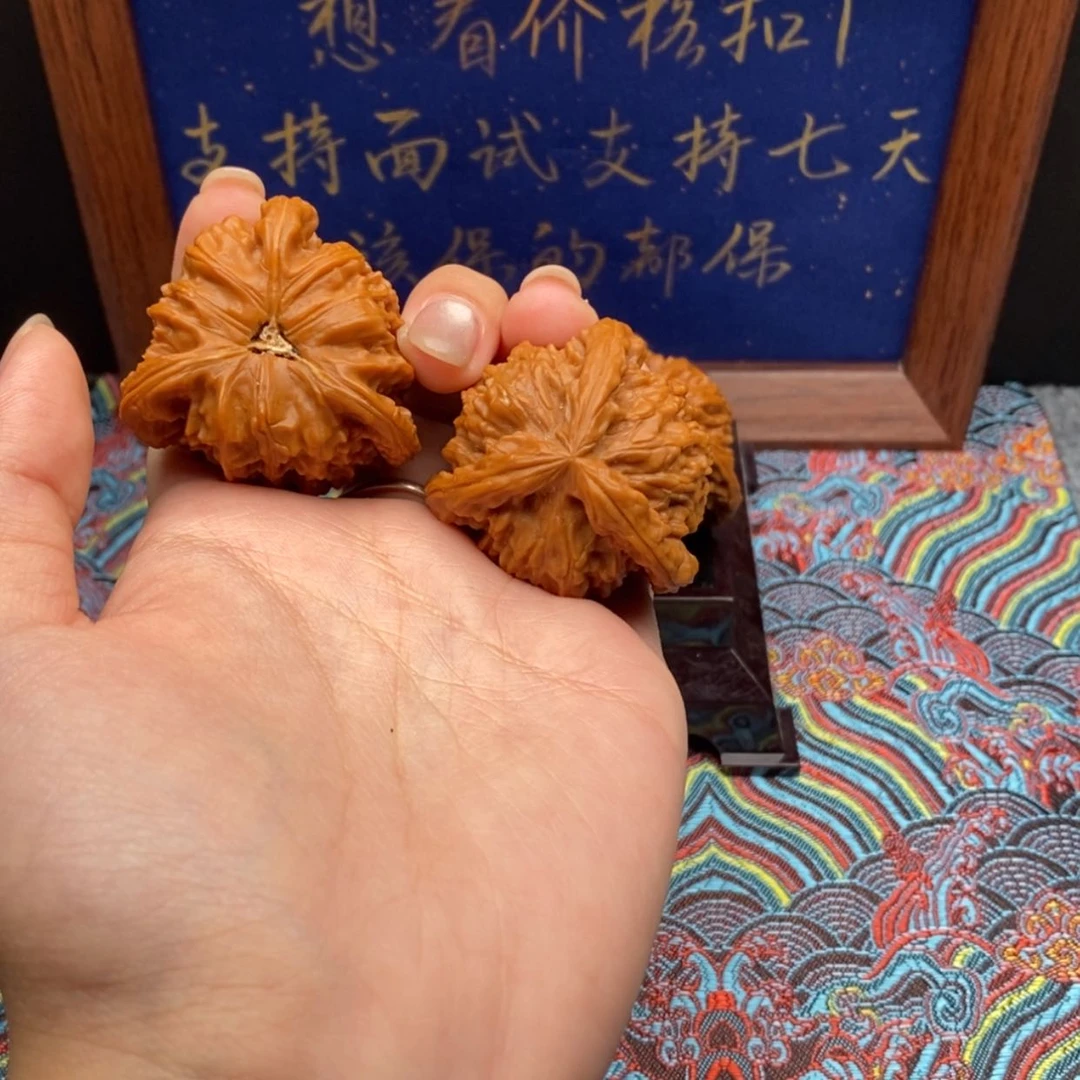 【闪购商品】凡*林白狮
