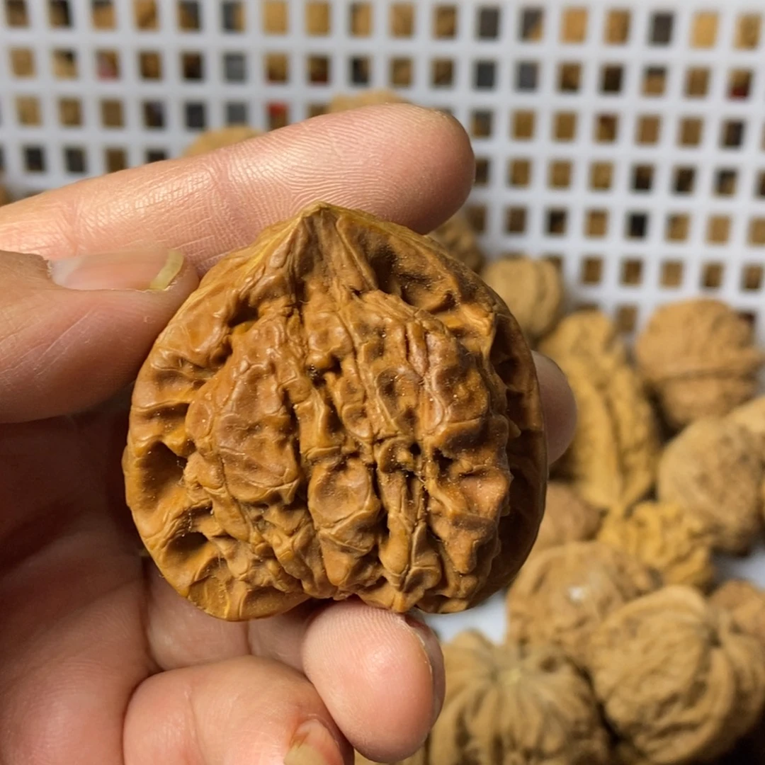 跳***核大叶紫檀（黑酸枝木类）