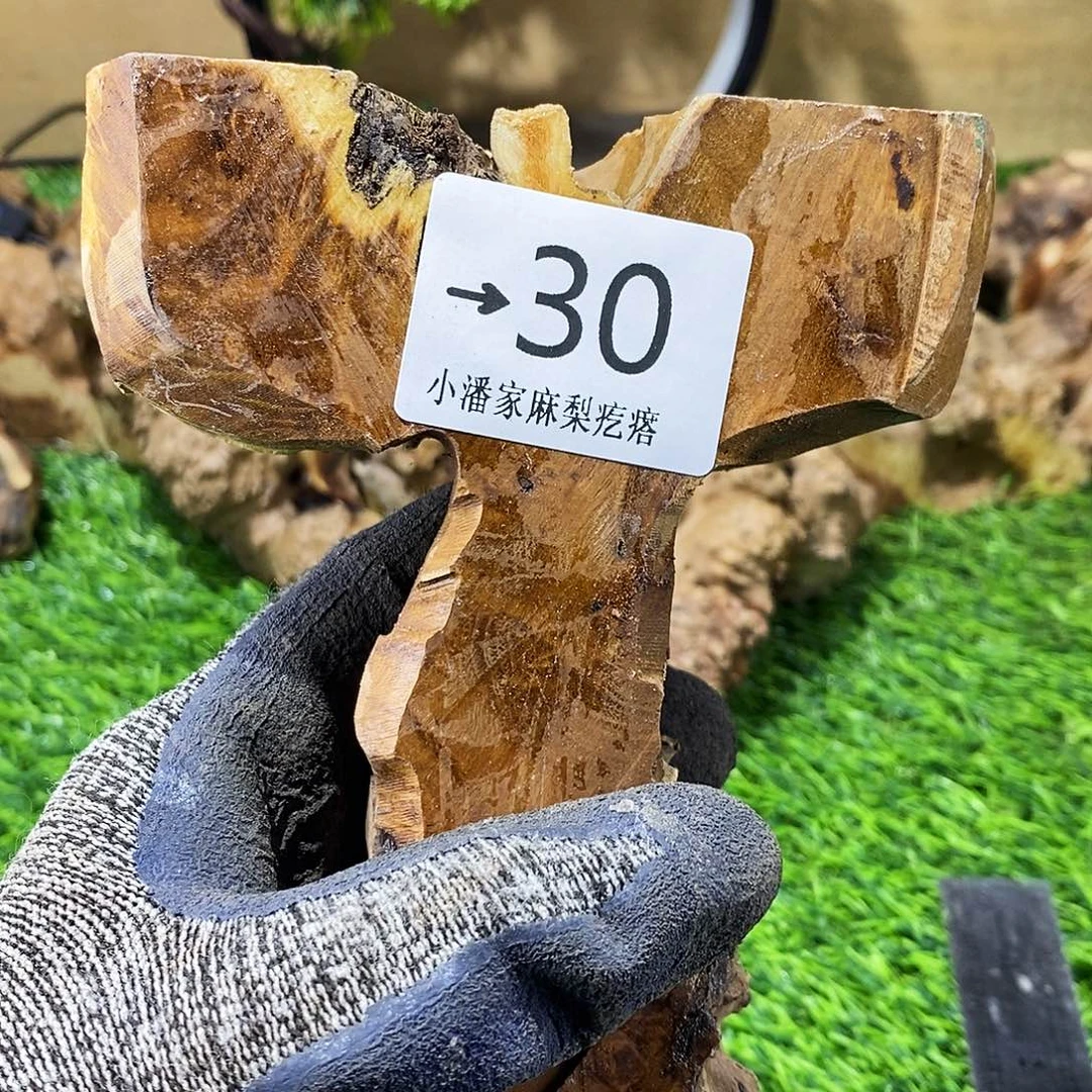 木老***猫麻梨……麻梨