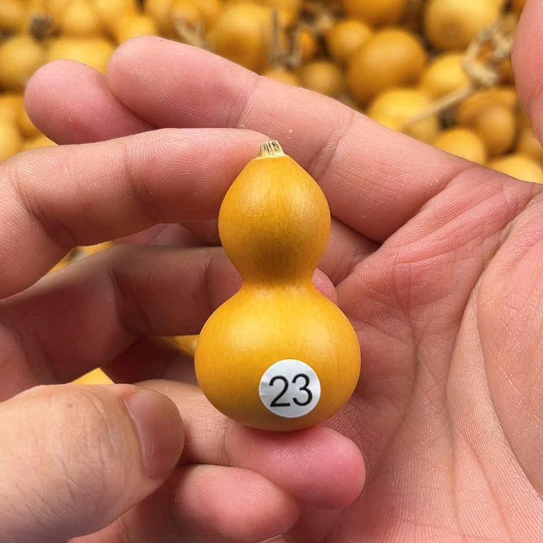 一葫芦葫芦葫芦葫芦23