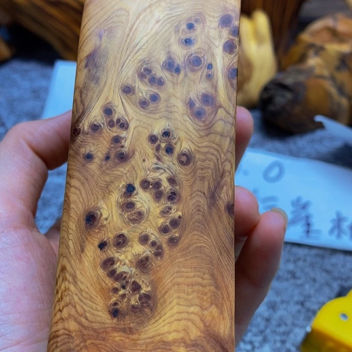 柏木（崖柏）崖柏66
