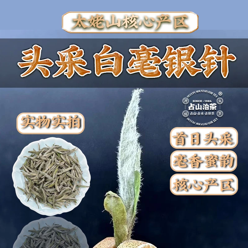 2021年头采白毫银针福鼎白茶核心产区冰糖甜