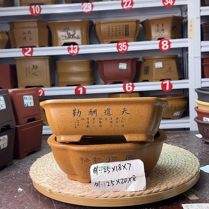 紫砂花盆蛇年大吉