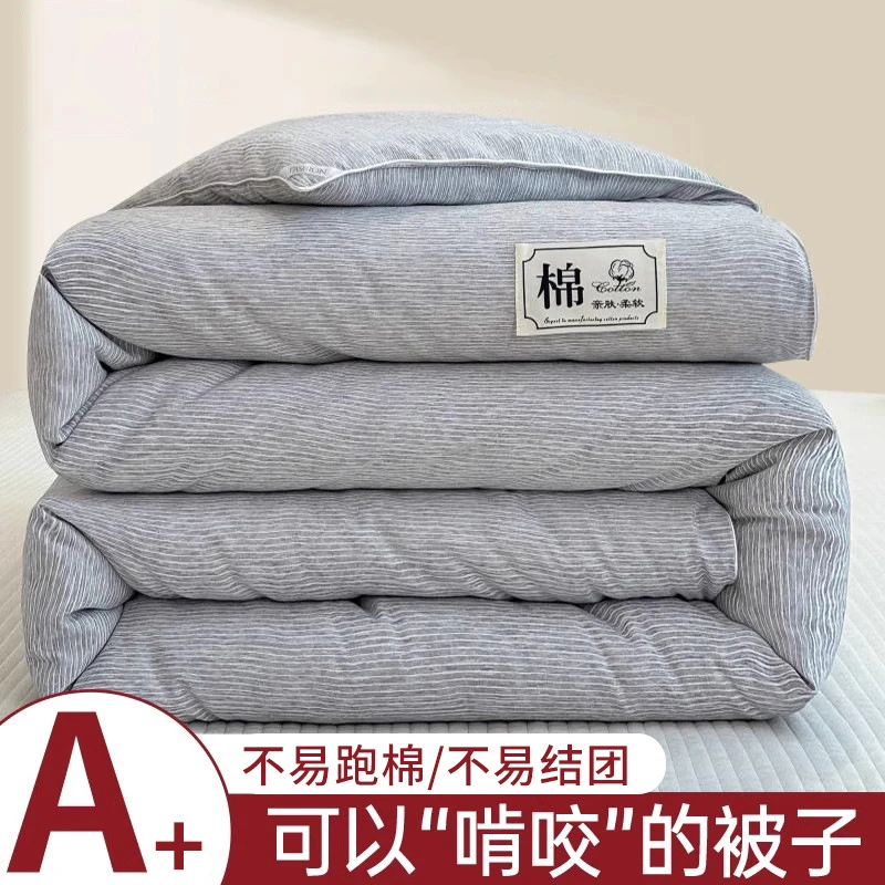 冬季大豆被子被芯加厚保暖冬被春秋被单人棉被被絮四季通用四季被