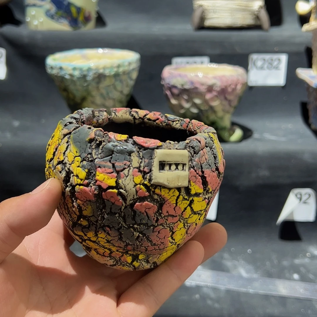 *****满百包邮限时福利