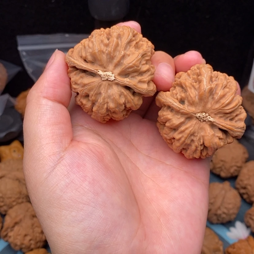 【闪购商品】把件文玩核桃浪*文玩核桃