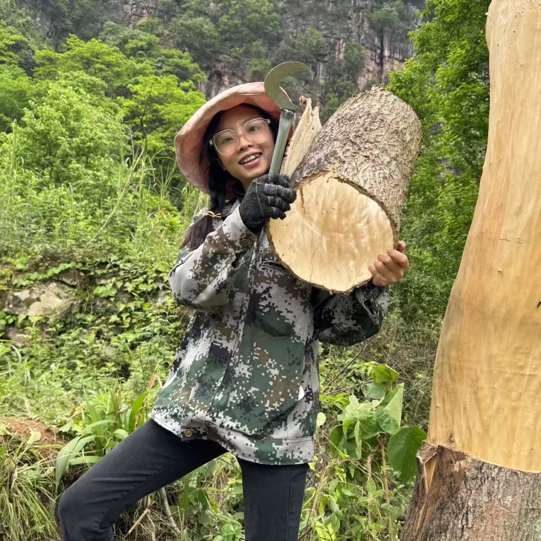 贵州深山老木拉丝树皮