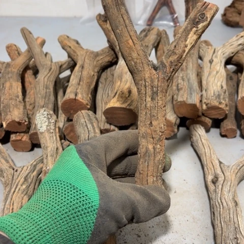 大果紫檀（缅甸花梨）凉