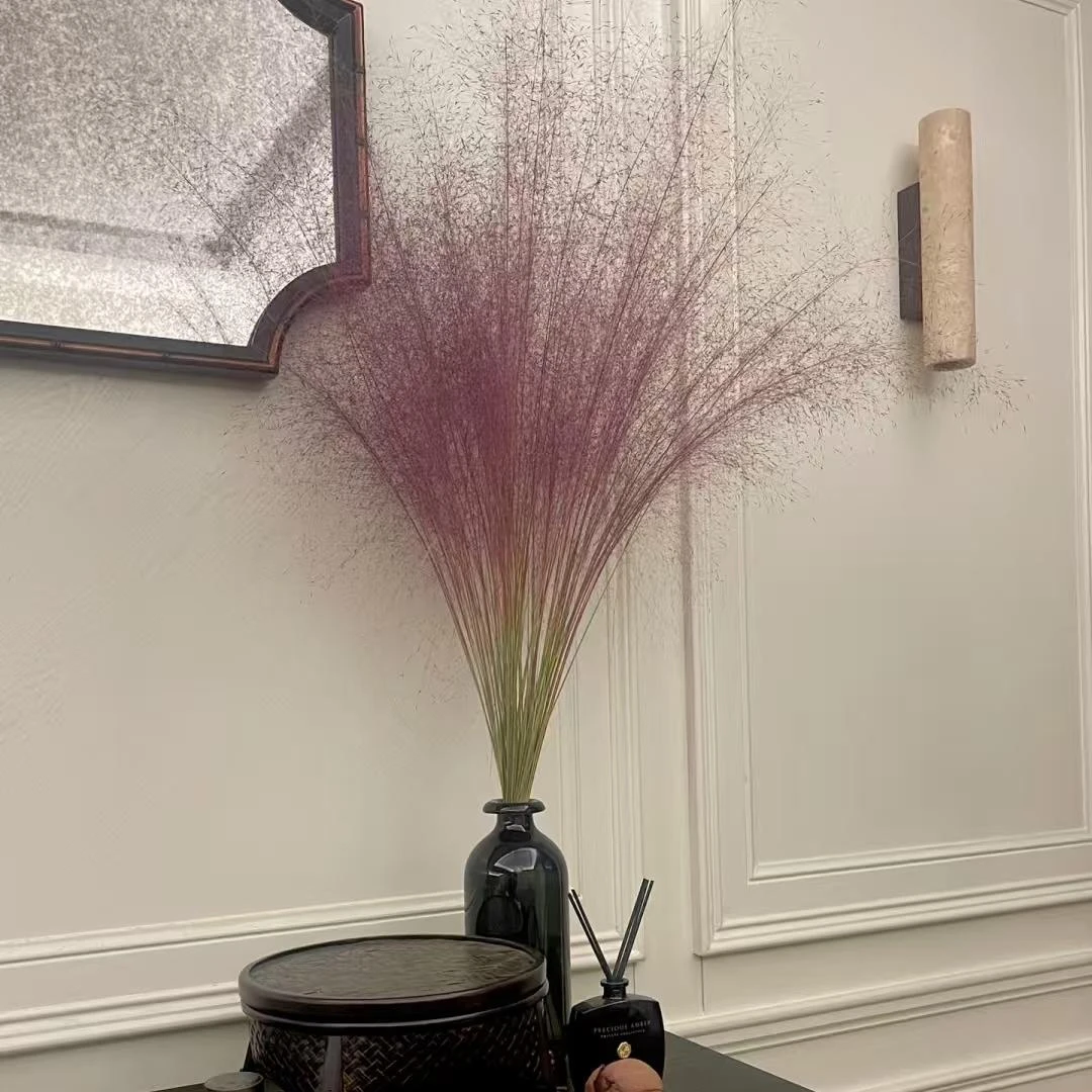 粉黛乱子草小众氛围感高级感鲜花花材拍照装饰