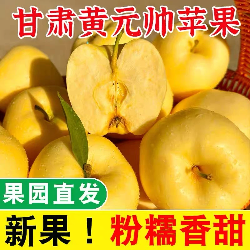 甘肃黄元帅黄金帅苹果粉面刮泥宝宝老人吃