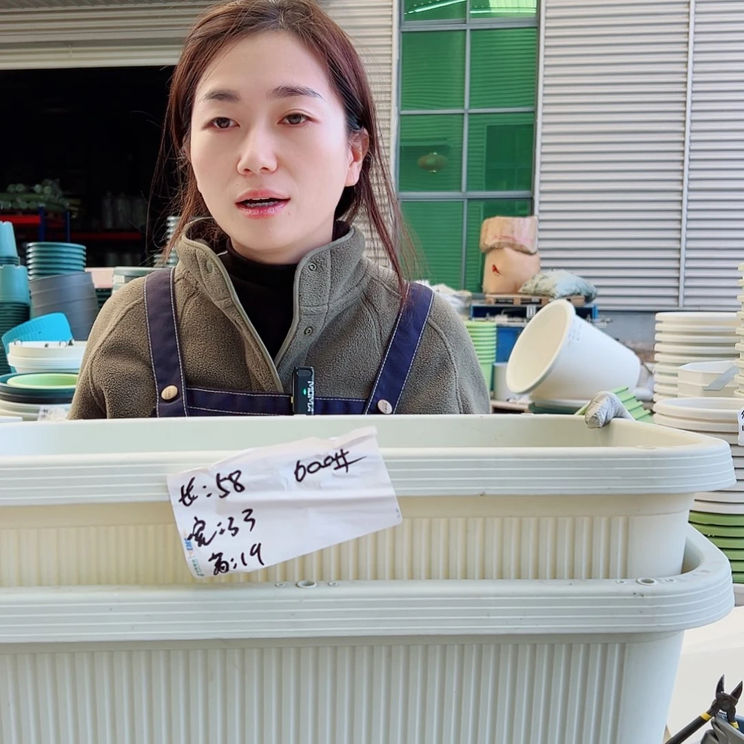 菜盆600#米白3个无托