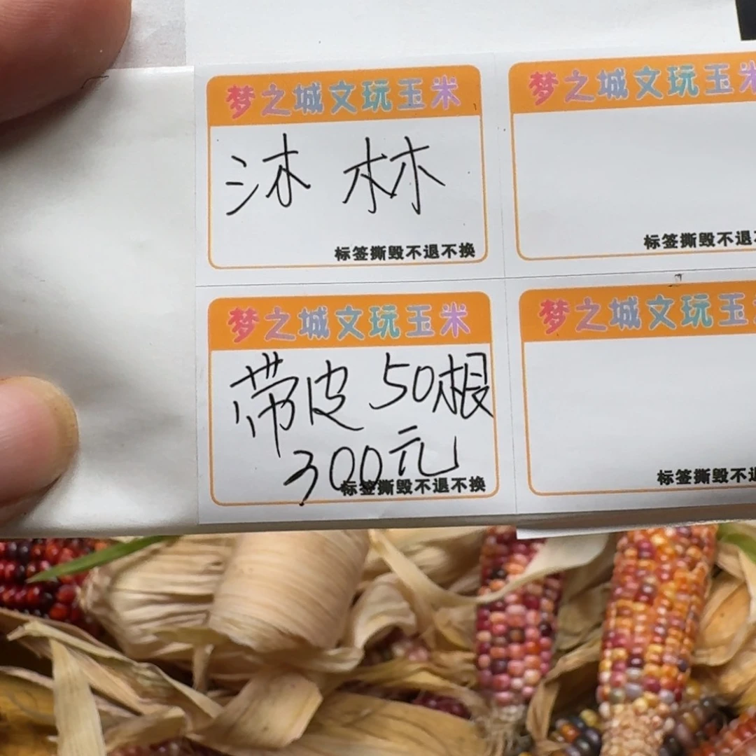 沐****柏香籽/百香籽吊坠