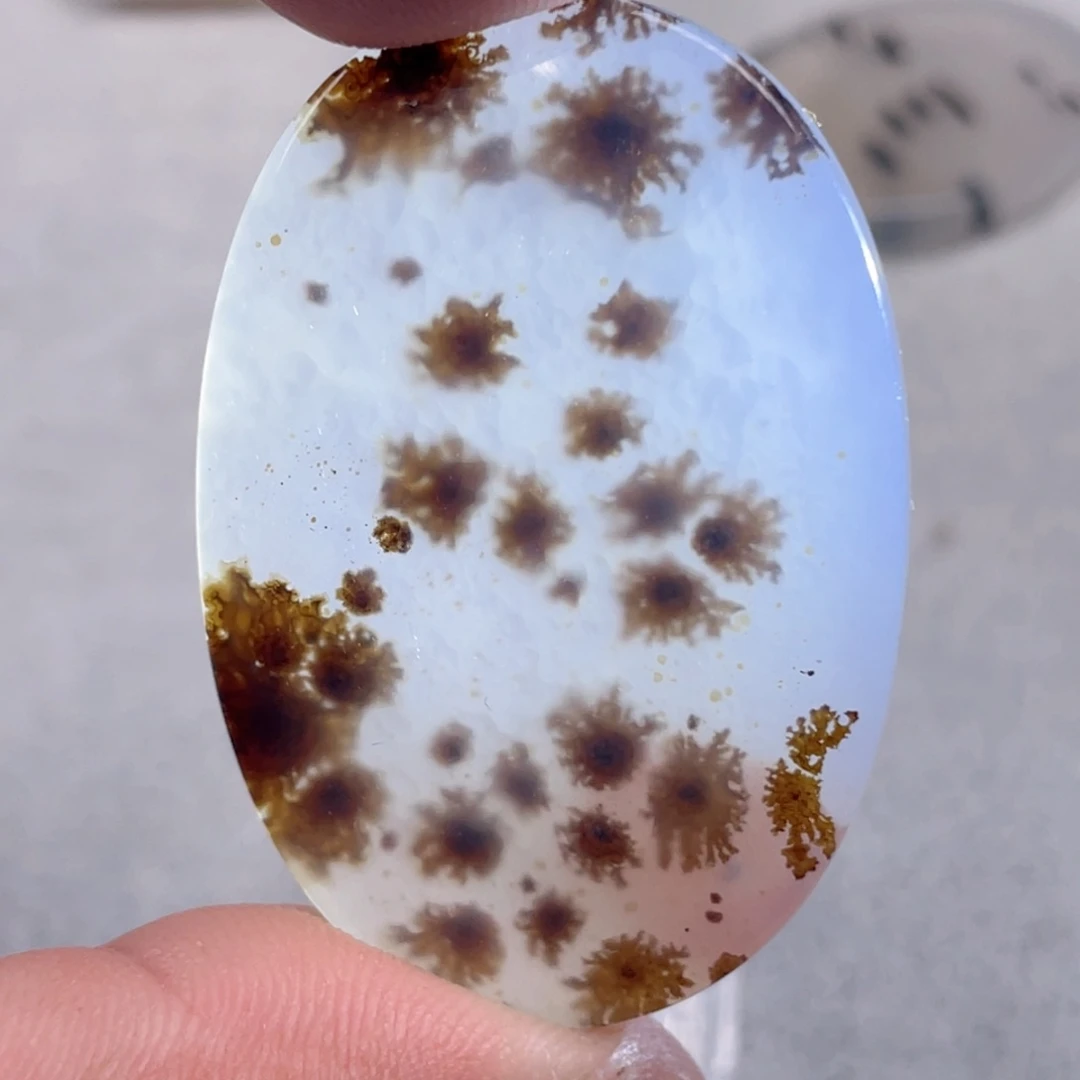 【闪购商品】玛瑙/玉髓颈饰未镶嵌