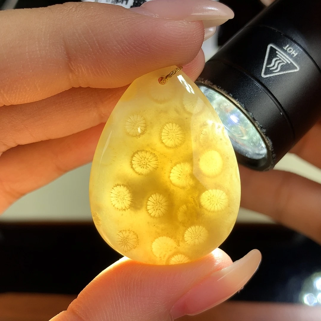 吊坠(赠链)未镶嵌硅化珊瑚（珊瑚玉）4号开播福利漏