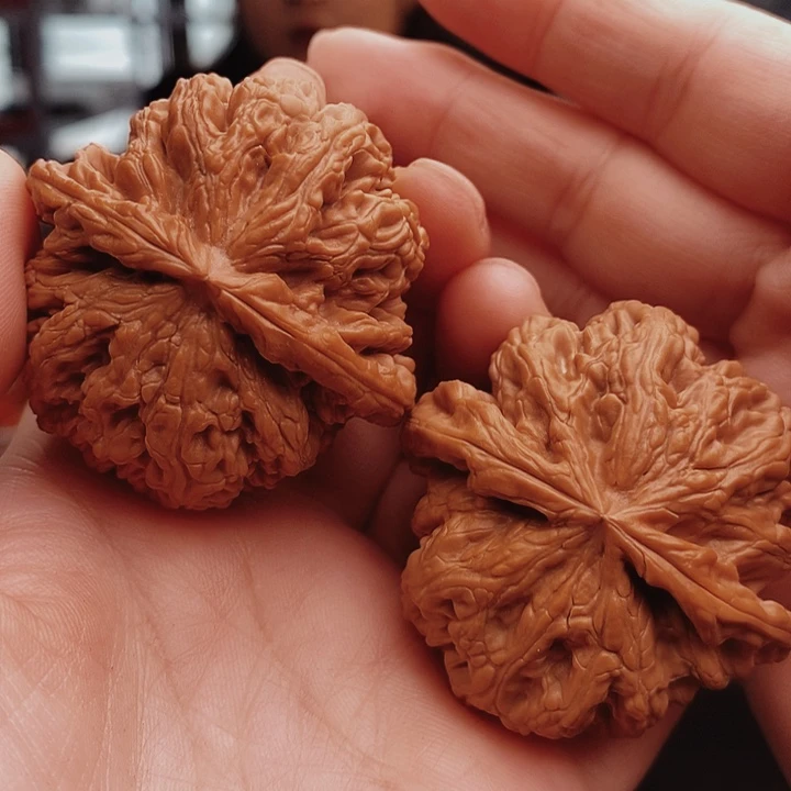 核桃48尺大粗筋核桃
