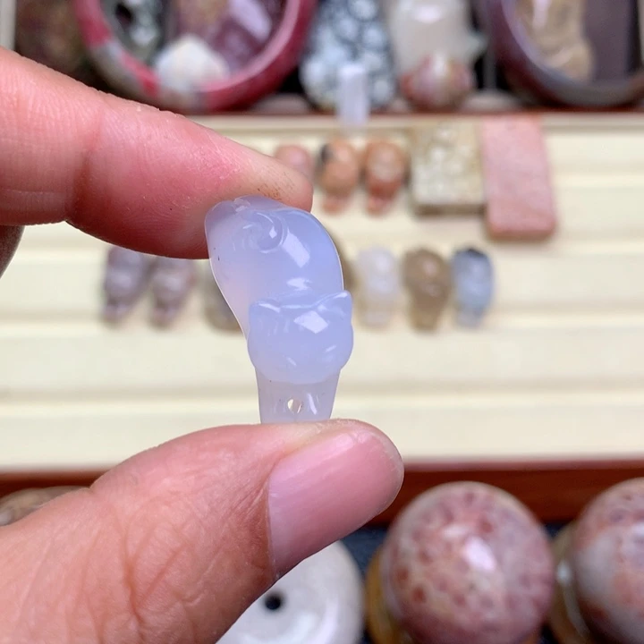 硅化珊瑚（珊瑚玉）未镶嵌颈饰