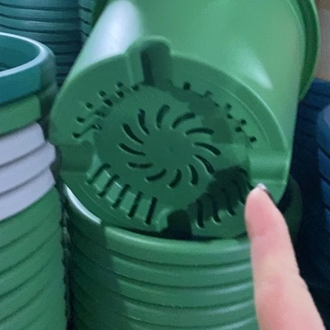 树脂四季4号草绿无托8个微瑕