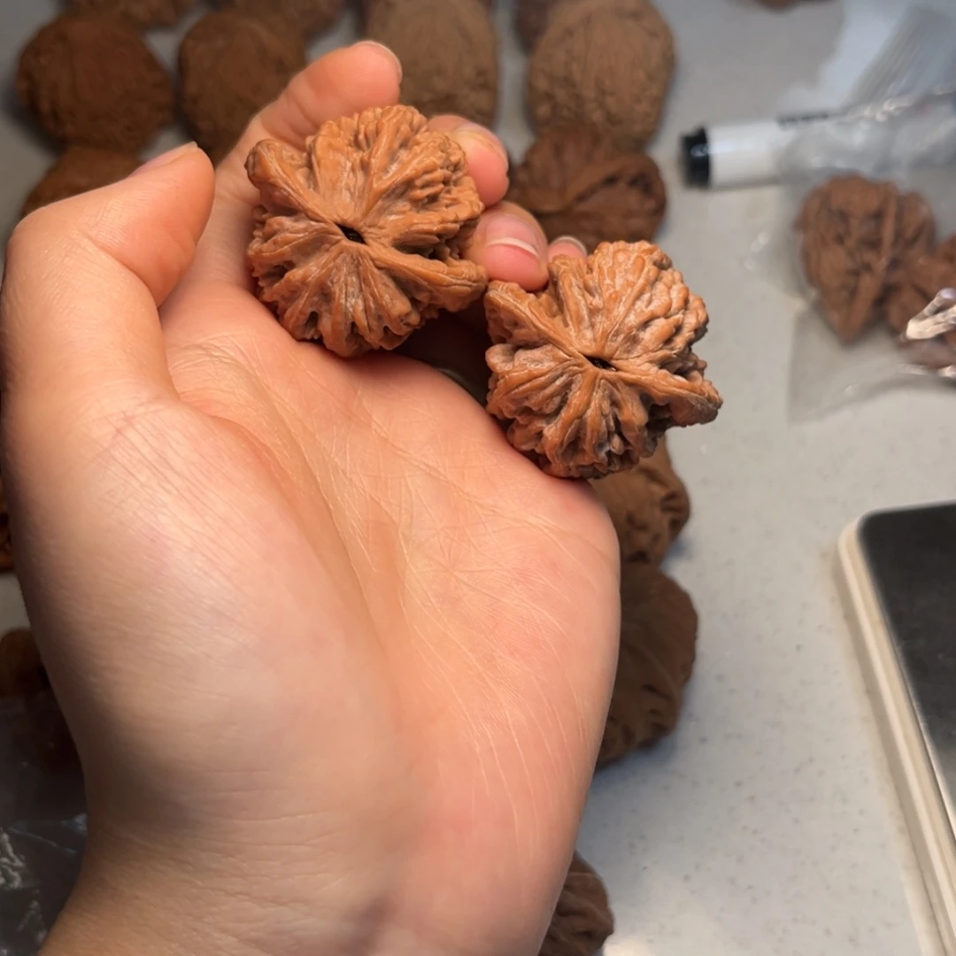 酱***傅大叶紫檀（黑酸枝木类）