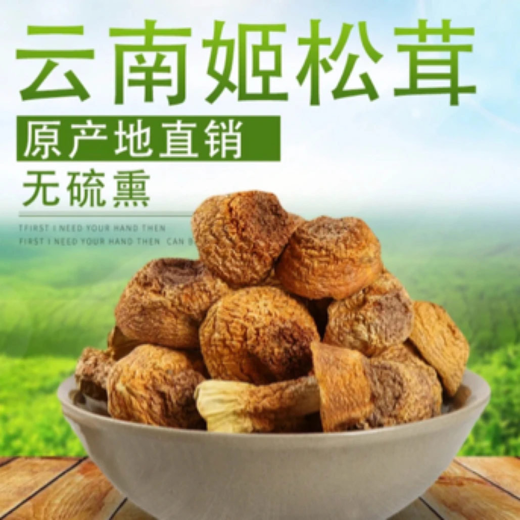 云南山货无硫姬松茸新鲜美味的土特产