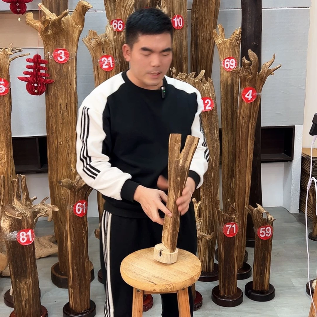 沉香摆件海南沉香摆件
