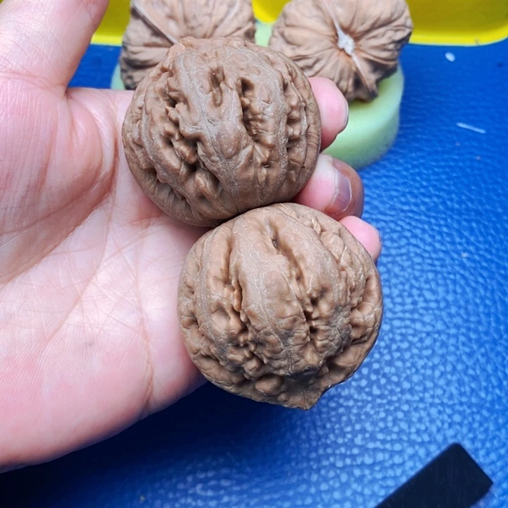 文玩核桃吊坠天*座霸王龙6