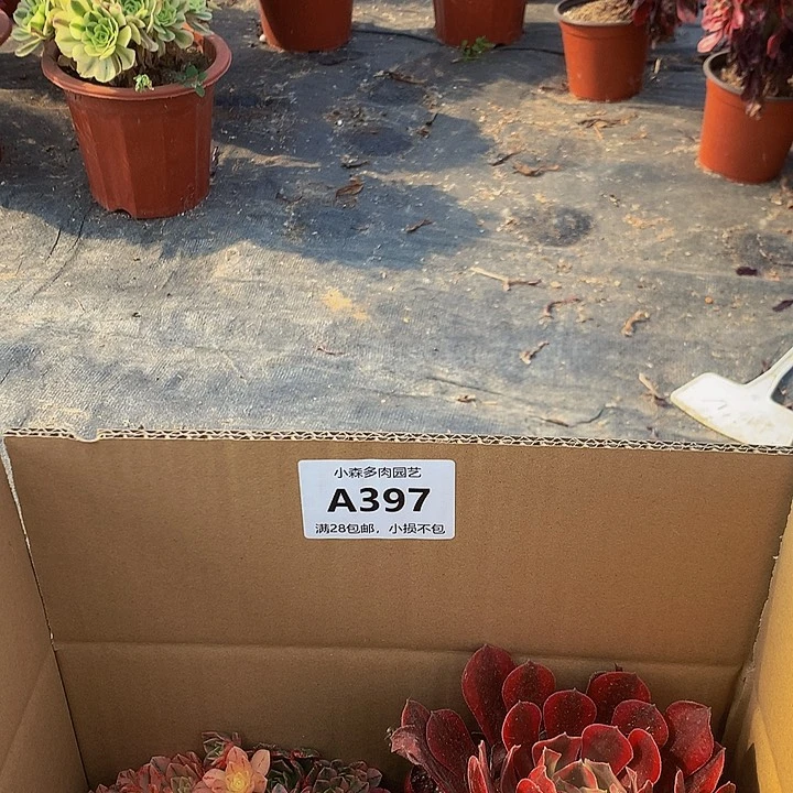 397，888888888888888