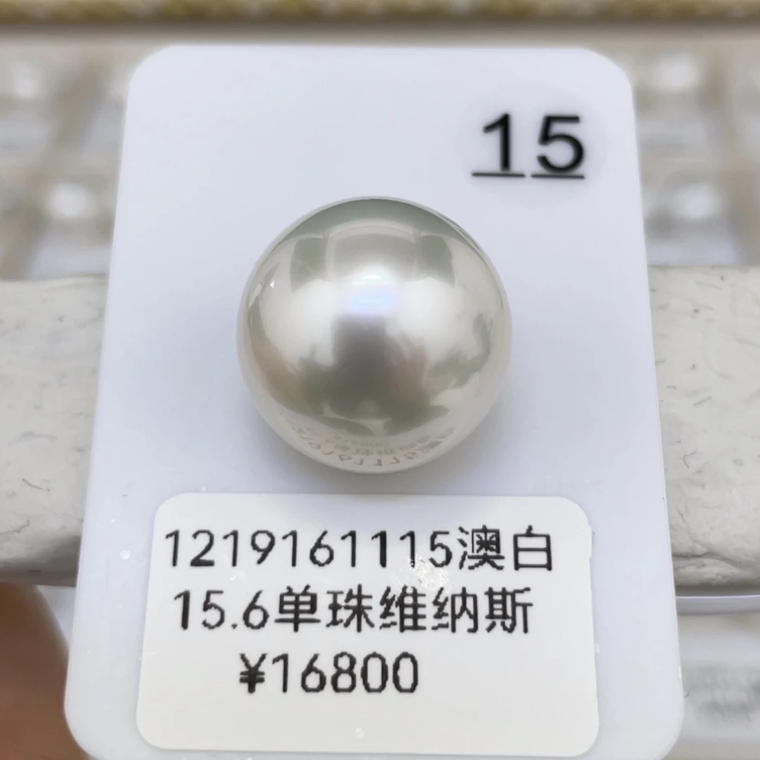 颈饰未镶嵌海水珍珠