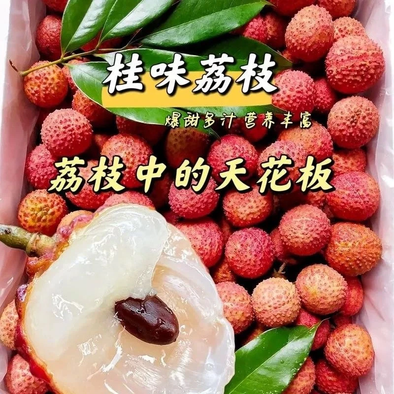 S1【顺丰京东冷链包邮】高州茂名老树桂味荔枝新鲜上市清香可口