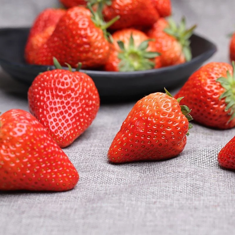 正宗红颜久久草莓20颗/盒 净重450g左右99红颜江苏省