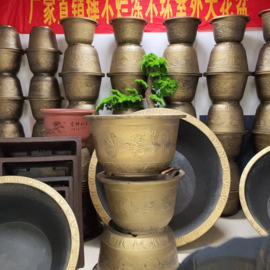 1个一米盆栽！无孔无孔！