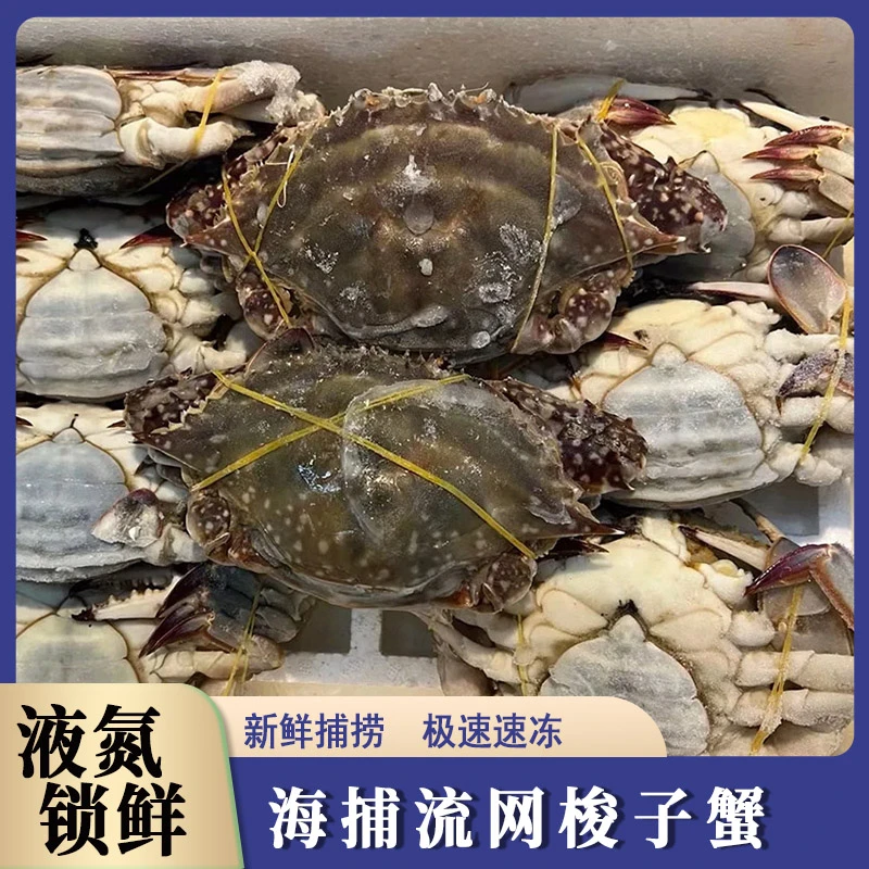舟山野生梭子蟹带箱4斤到手8-12只4两左右液氮锁鲜顺丰冷链发货【冻蟹】