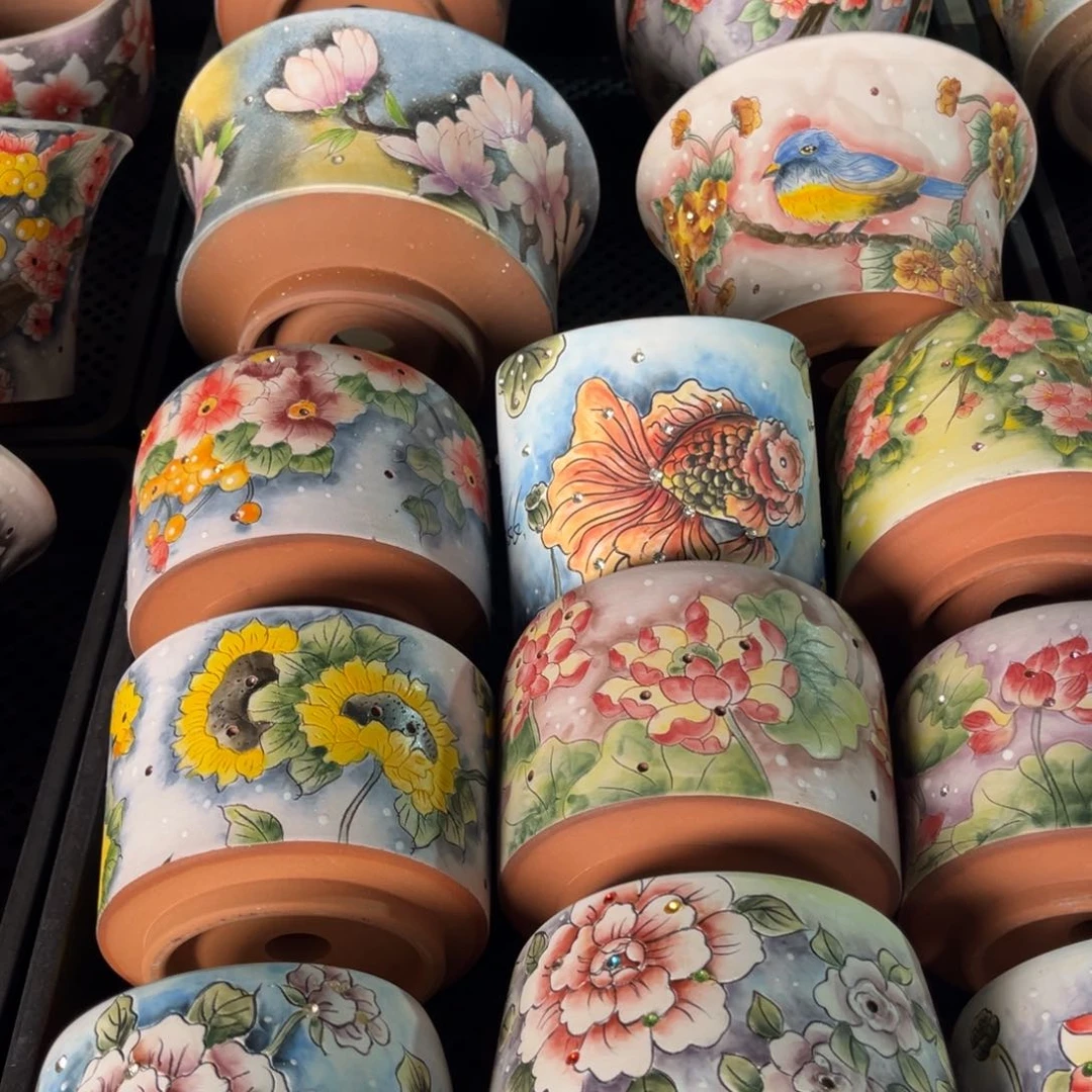 a**龙用户拍多肉花盆