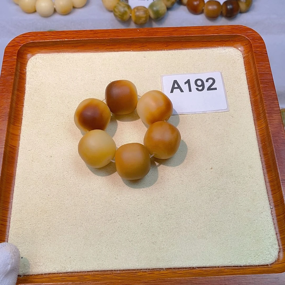 菩提根/象牙果手串手捻22mm（微瑕）