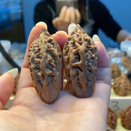 桃核把件瓜条楸子