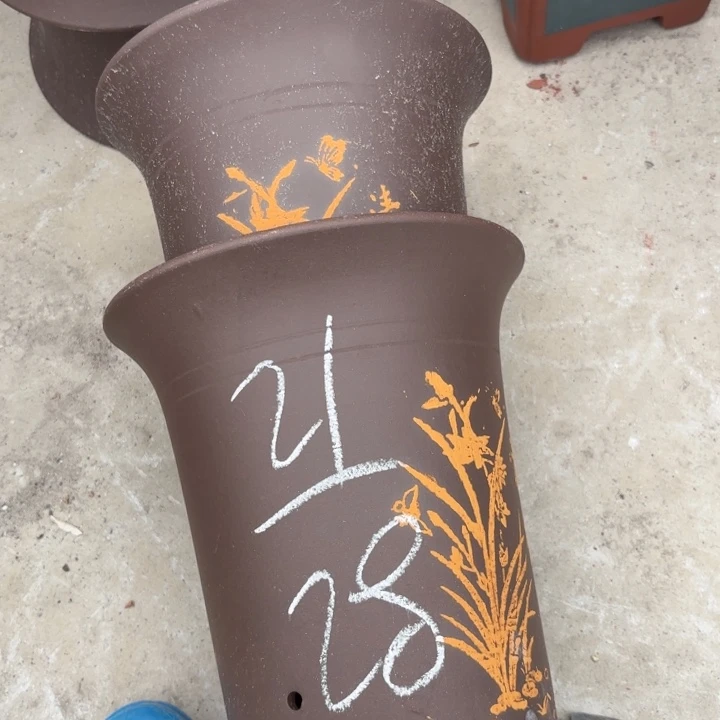 花盆紫砂紫砂的花