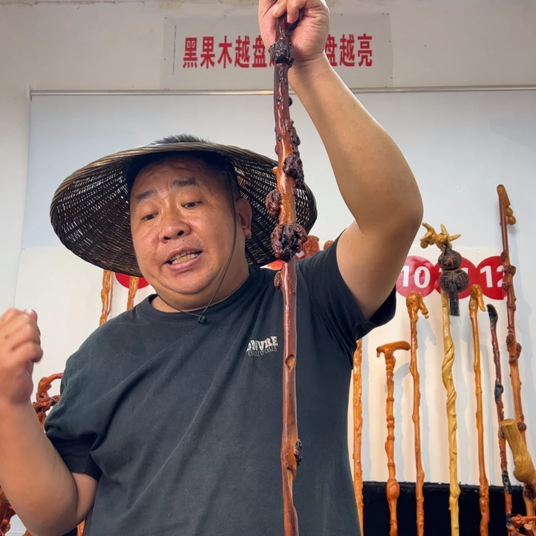 奔***乐黑果木其他黑果木478