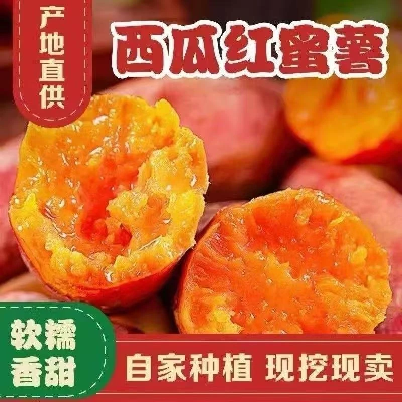 2025新挖新鲜西瓜红超甜沙地蜜薯红薯地瓜番薯糖心地瓜