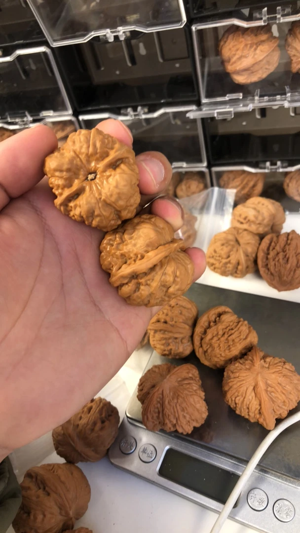 箭毒蛙文玩核桃孤品收藏四棱核桃