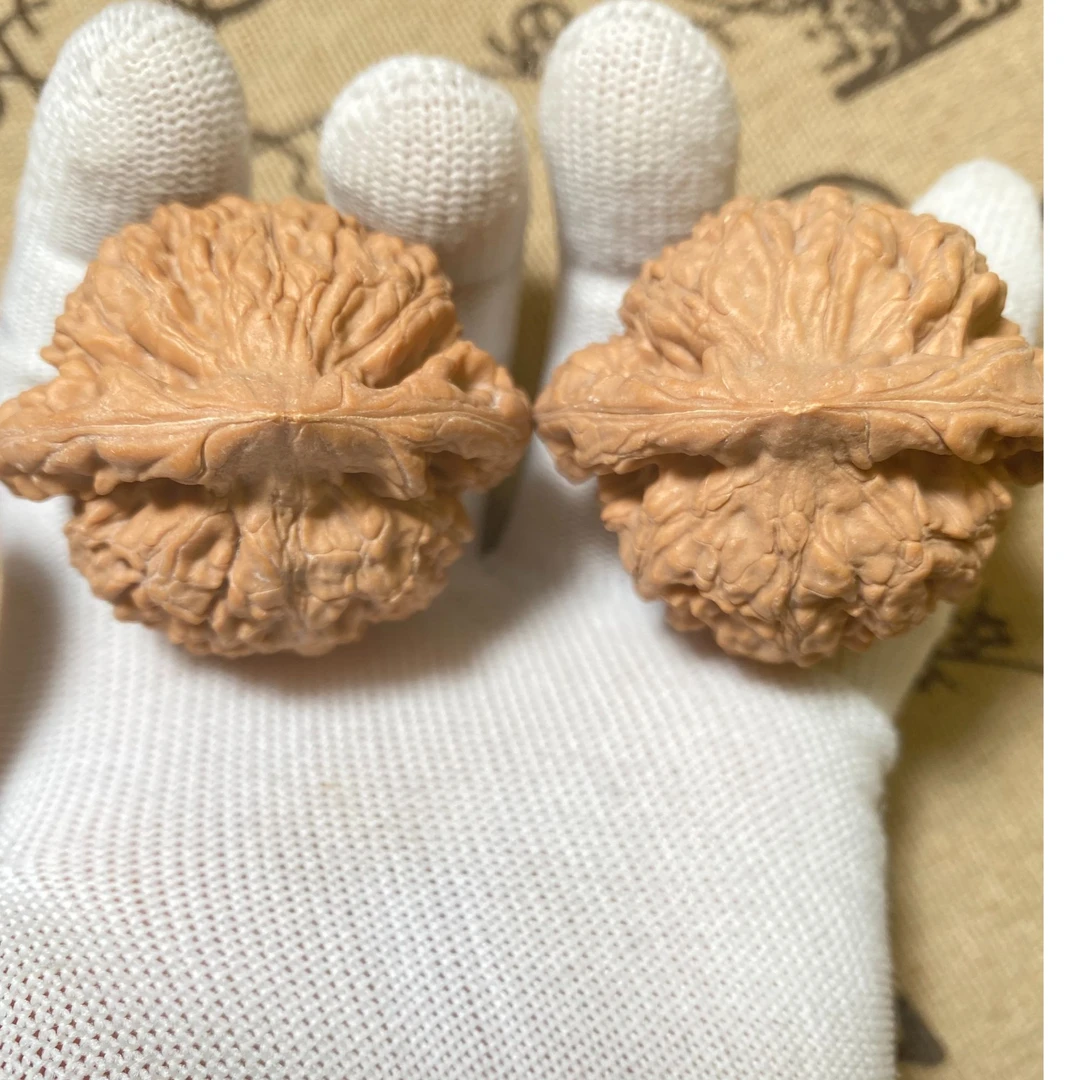 全品无修老树原桩无药粗筋龙鼎官帽一物一图