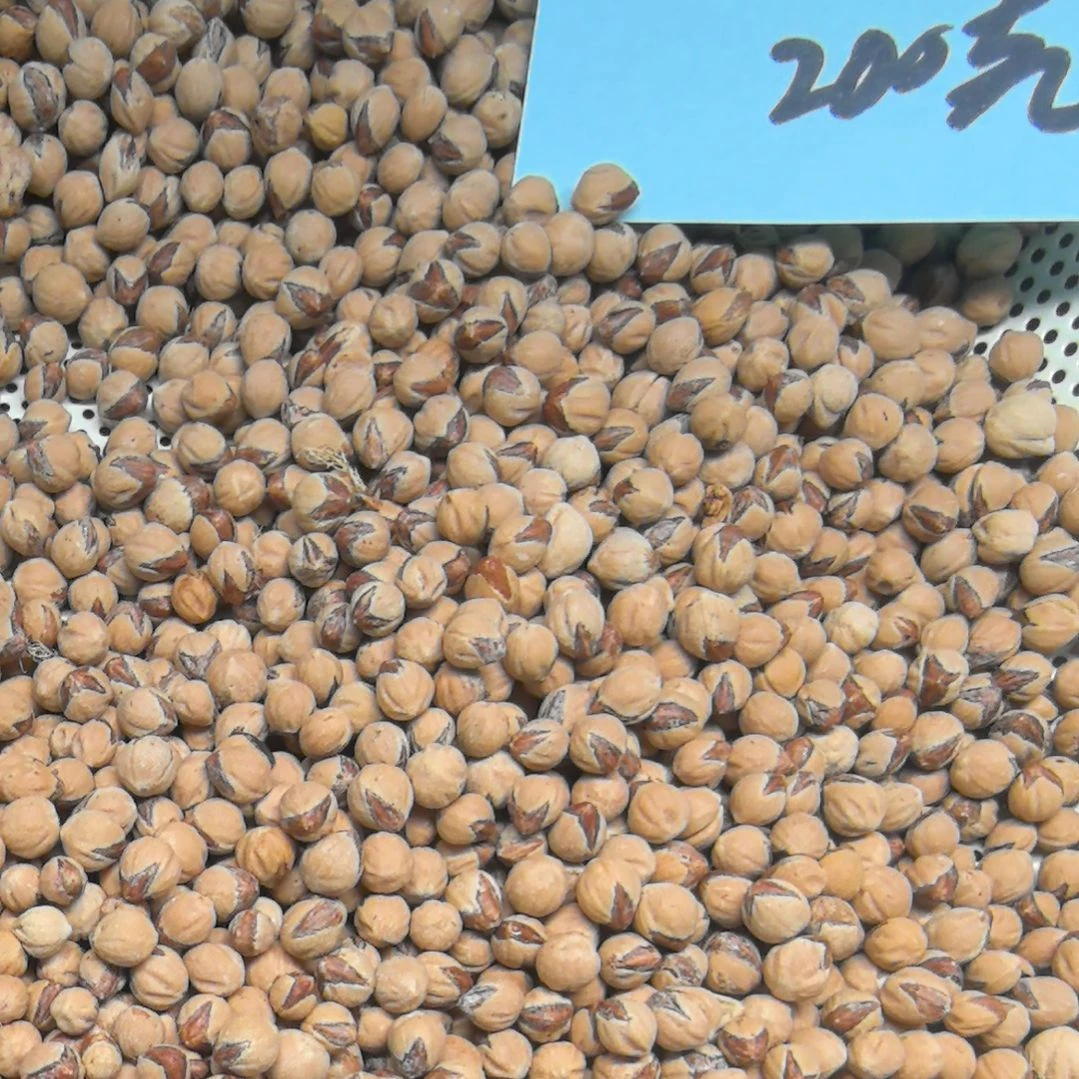 自***魏柏香籽/百香籽手串