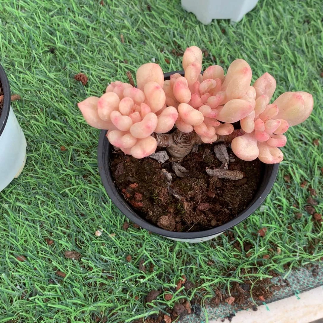 雯***子我们的产品也越来越难做到品质