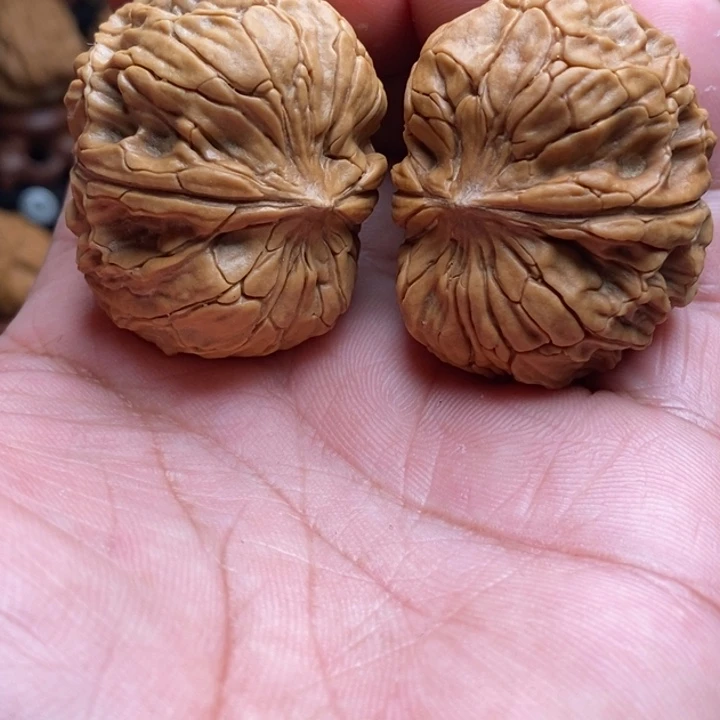 把件文玩核桃蟒纹虎头