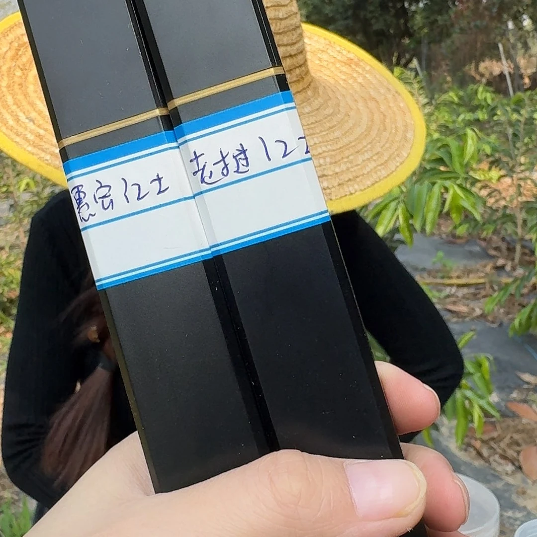 惠安红土加老挝红土线香各30克