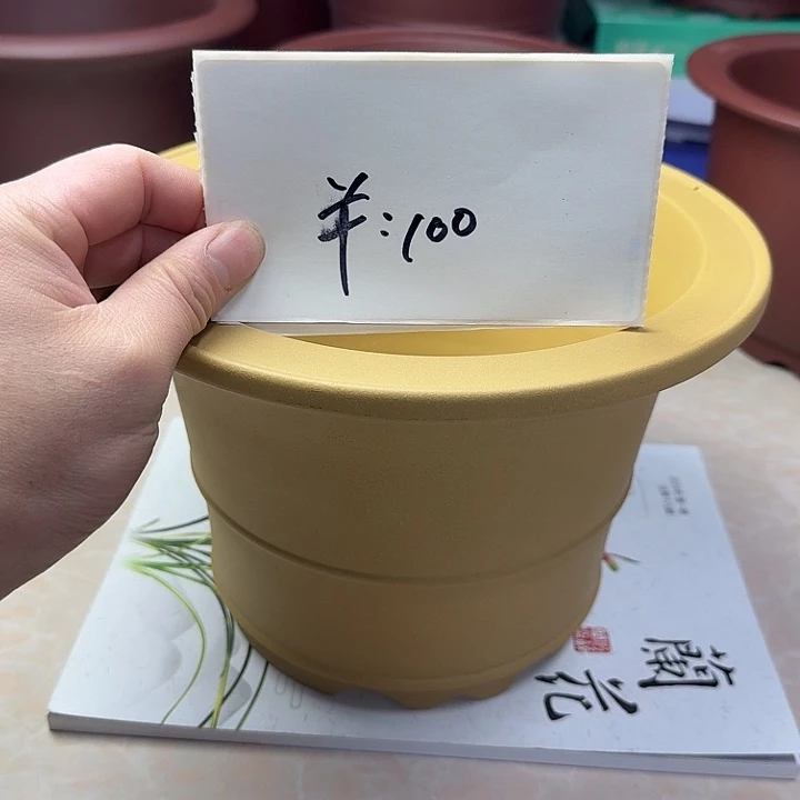 春秋花盆精品兰盆