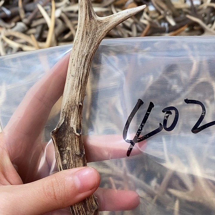 用***2非金属鹿角鹿角鹿角