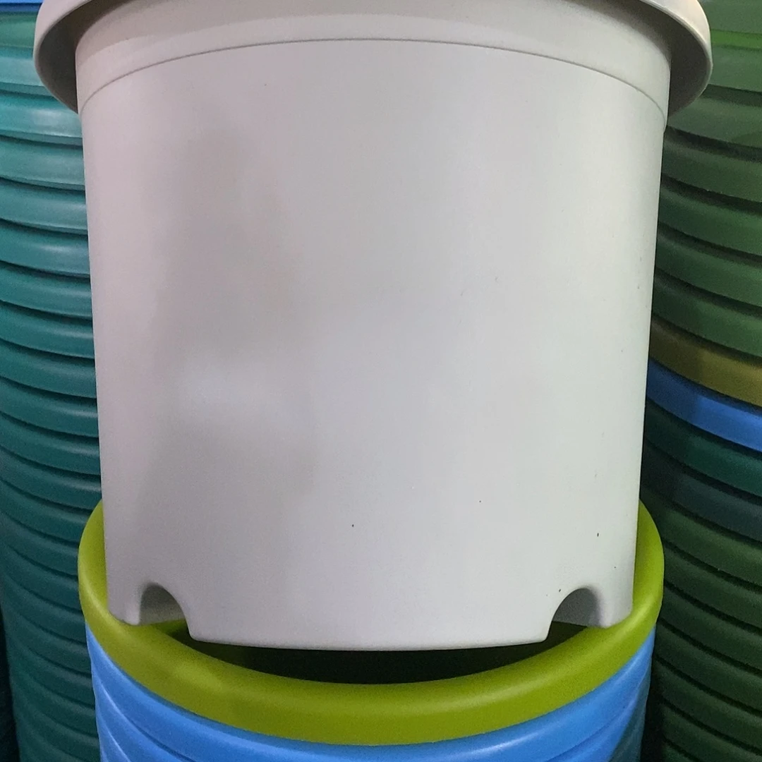 树脂特价5#无拖灰白6个