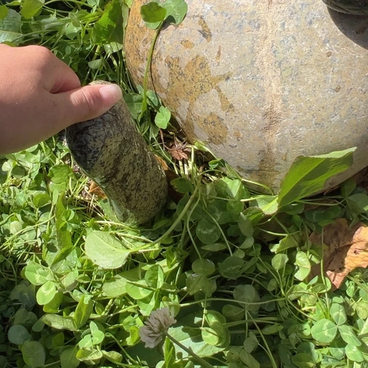 用***6长石玉合金藏玉藏玉