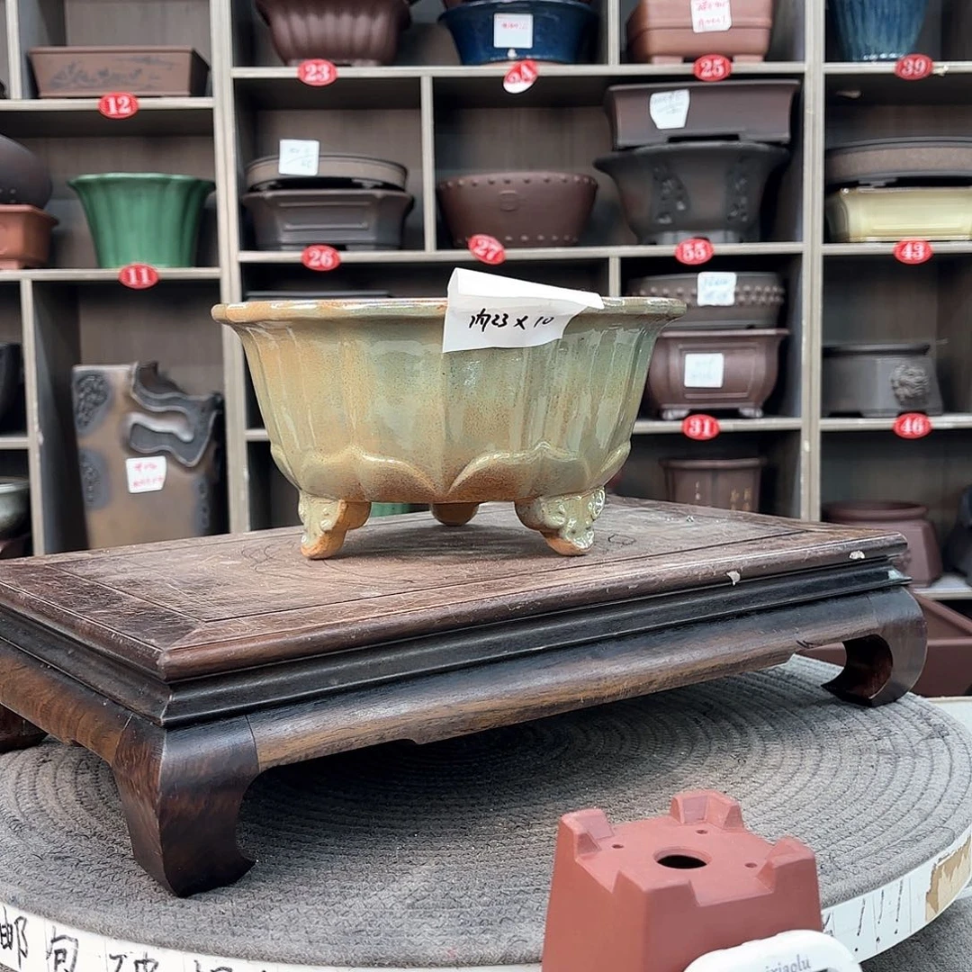 紫砂花盆紫砂的花也太