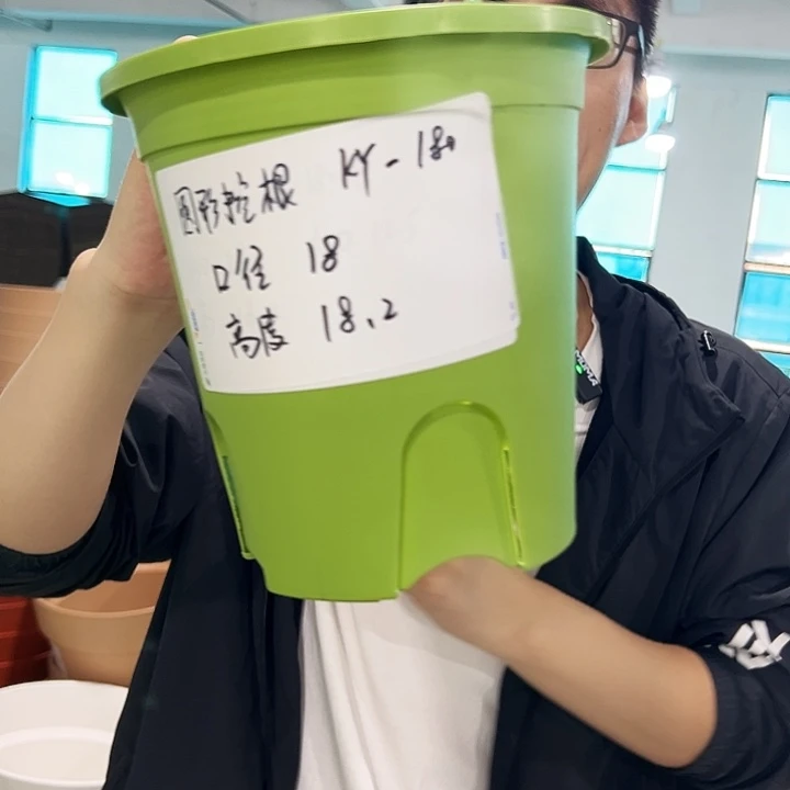 正品圆控口18高18果绿无托8只